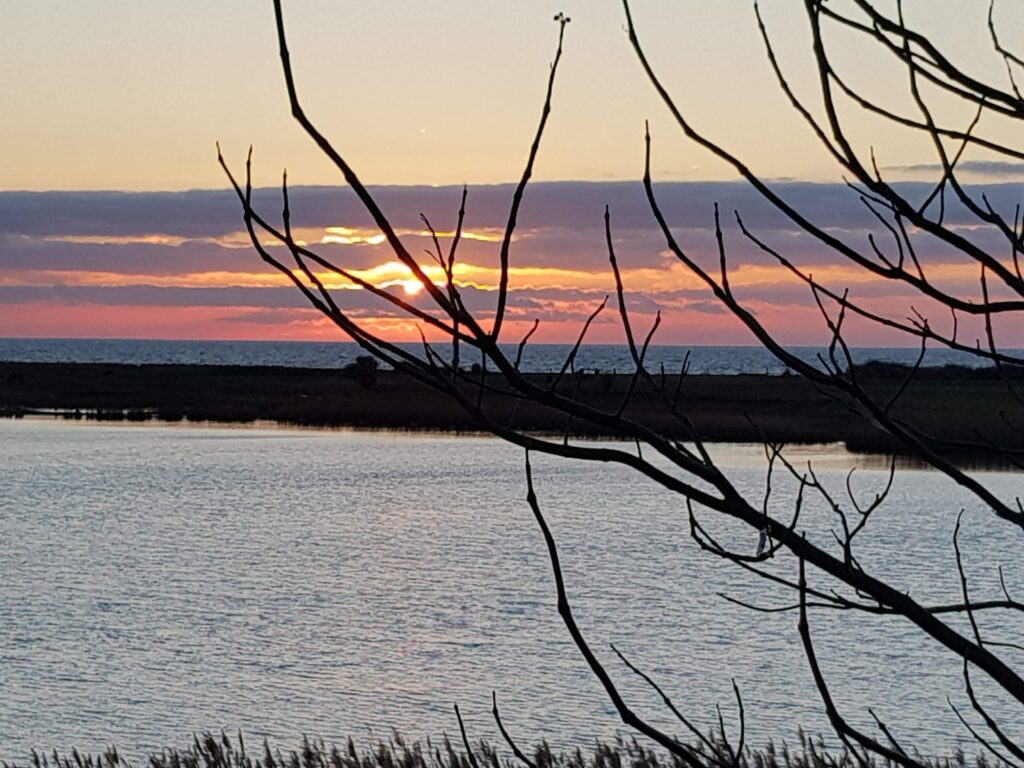 Udsigten giver hver dag endorfinerne et boost.